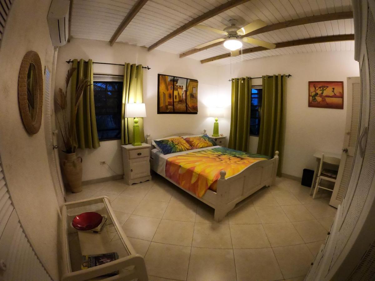 Yellow Bird Apartment Christ Church Bagian luar foto