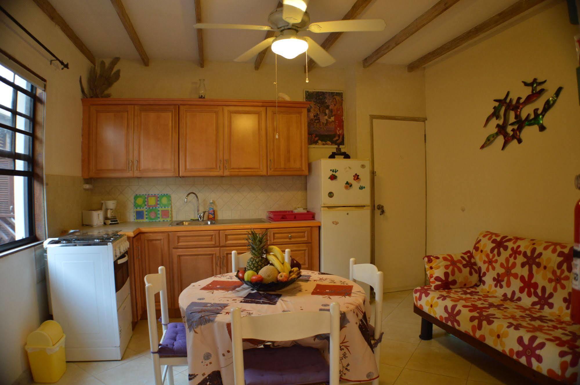 Yellow Bird Apartment Christ Church Bagian luar foto